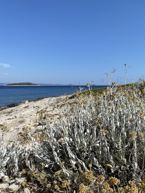 Bilo Šibenik